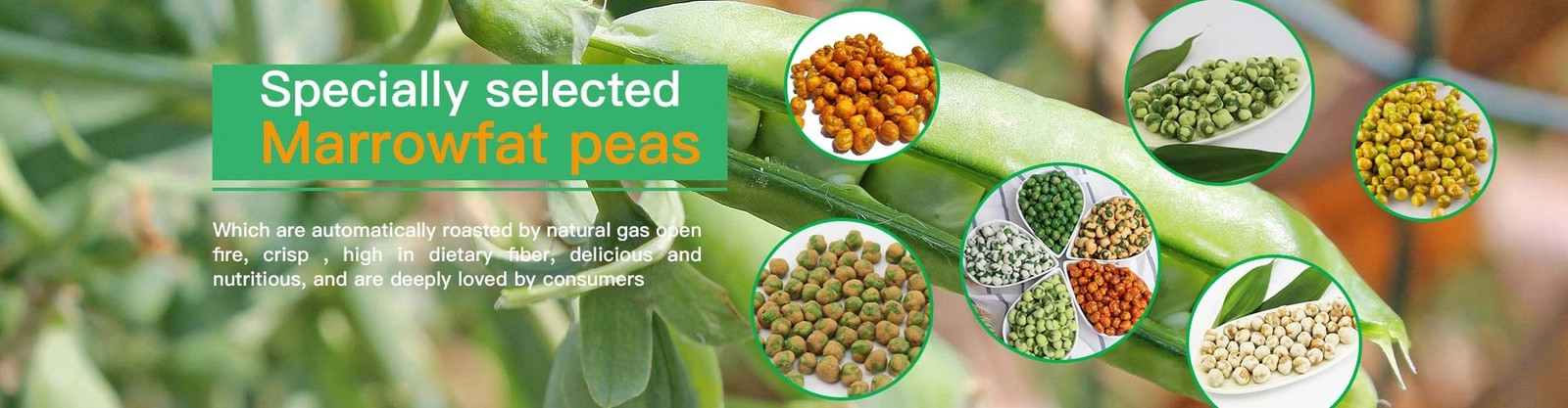 ขนมขบเคี้ยว Fava Bean