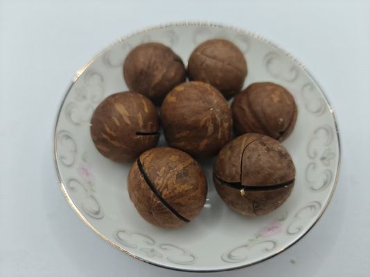 ถั่วแมคคาเดเมียธรรมชาติแสนอร่อย บรรจุในถุงพลาสติก