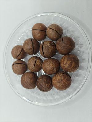 ถั่วแมคคาเดเมียธรรมชาติแสนอร่อย บรรจุในถุงพลาสติก