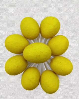 ผักถั่วถั่วถั่วถั่วถั่วถั่วถั่วถั่วถั่วถั่วถั่วถั่ว