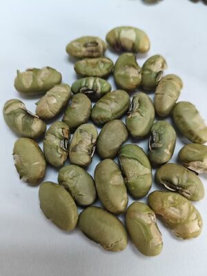 High Protein Soya Bean Appetizers Baking Style Delicious Nutritious Snack Suitable For Various Food Service Applications