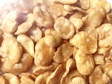 Low Fat Fried ถั่ว Fava ขนมขบเคี้ยวอาหารเต็ม Nutritions เย็น / แห้งจัดเก็บ