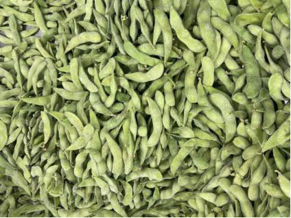 ถั่ว Edamame แช่แข็งโปรตีนสูงที่ผ่านการรับรองจาก HALAL
